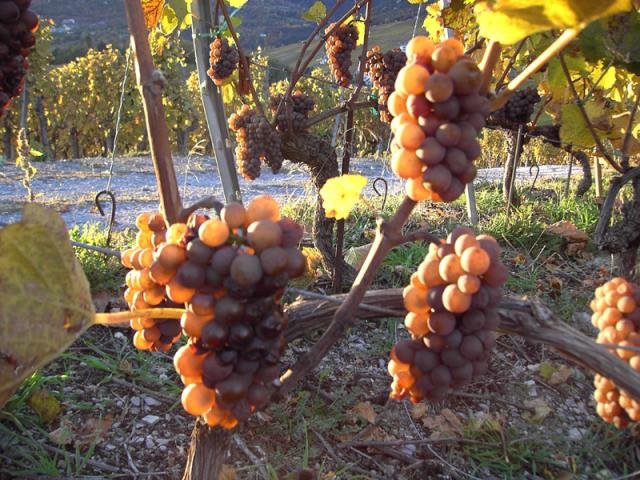 Automne en Valais