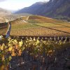 Automne en Valais